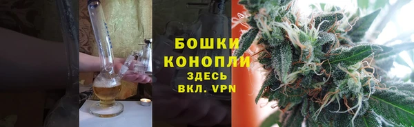 шишки Армянск