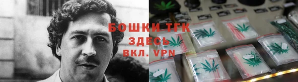 шишки Армянск