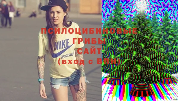 прущий лед Аркадак