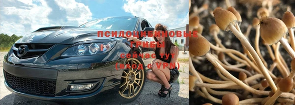 прущий лед Аркадак