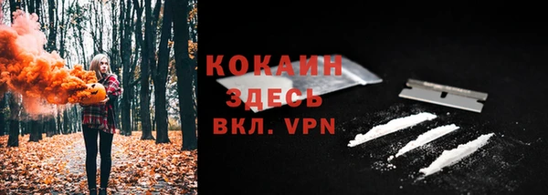 шишки Армянск
