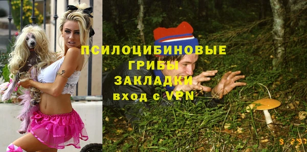 шишки Армянск