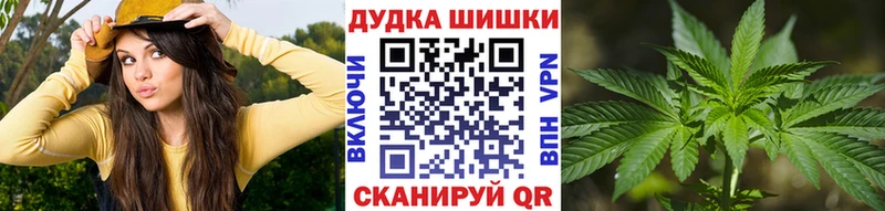Канабис сатива  Новоалександровск 